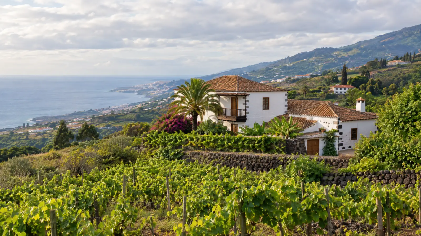 Viñedos y casas tradicionales canarias en Tacoronte, en el norte de Tenerife (recreación ilustrativa)